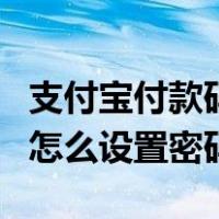 支付宝付款码怎么设置密码锁（支付宝付款码怎么设置密码）