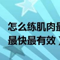 怎么练肌肉最快最有效不用道具（怎么练肌肉最快最有效）