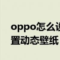 oppo怎么设置动态壁纸视频（oppo怎么设置动态壁纸）