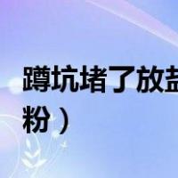 蹲坑堵了放盐放洗衣粉（蹲坑厕所堵了放洗衣粉）