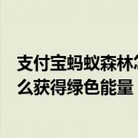 支付宝蚂蚁森林怎么快速获得绿色能量（支付宝蚂蚁森林怎么获得绿色能量）