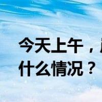 今天上午，岸田政府又有人去“拜鬼” 这是什么情况？