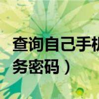 查询自己手机服务密码电信（查询自己手机服务密码）