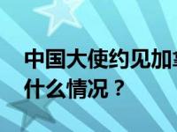 中国大使约见加拿大外交部相关负责人 这是什么情况？