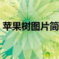 苹果树图片简笔画儿童（苹果树图片简笔画）