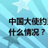 中国大使约见加拿大外交部相关负责人 这是什么情况？