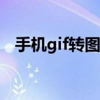 手机gif转图片（手机gif动图转换成视频）