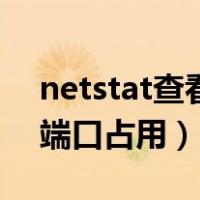 netstat查看占用端口的程序（netstat查看端口占用）