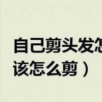 自己剪头发怎么剪出漂亮的马尾（自己剪头发该怎么剪）