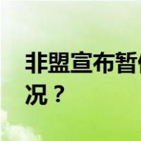 非盟宣布暂停尼日尔成员国资格 这是什么情况？