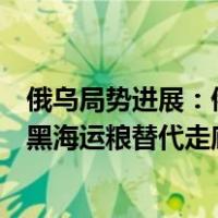 俄乌局势进展：俄称在黑海摧毁一艘乌侦察艇，乌称已建立黑海运粮替代走廊 这是什么情况？