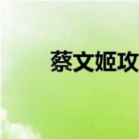 蔡文姬攻略技能打法（蔡文姬攻略）