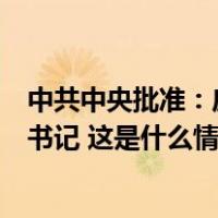 中共中央批准：庄严任宁夏回族自治区党委委员、常委、副书记 这是什么情况？