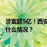 涉案超5亿！西安警方破获一起特大洗钱案，10人被抓 这是什么情况？