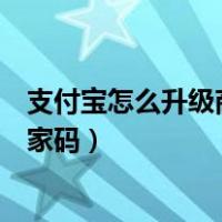 支付宝怎么升级商家码别人扫我是转账（支付宝怎么升级商家码）