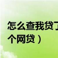 怎么查我贷了几个网贷软件（怎么查我贷了几个网贷）