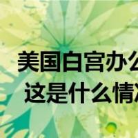 美国白宫办公厅前主任梅多斯在佐治亚州自首 这是什么情况？