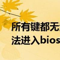 所有键都无法进入bios=废话!（所有键都无法进入bios）