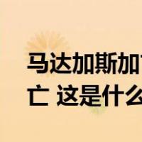 马达加斯加首都发生踩踏事故，至少12人死亡 这是什么情况？