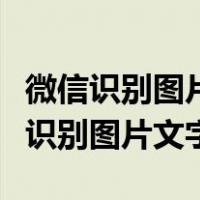 微信识别图片文字转化为文本的小程序（微信识别图片文字）