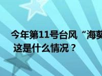 今年第11号台风“海葵”生成，西北太平洋上“三台共舞” 这是什么情况？