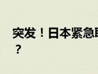 突发！日本紧急取消火箭发射 这是什么情况？