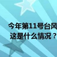 今年第11号台风“海葵”生成，西北太平洋上“三台共舞” 这是什么情况？