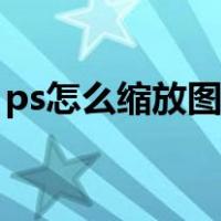 ps怎么缩放图片大小比例（ps怎么缩放图片）