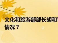 文化和旅游部部长胡和平会见美国商务部长雷蒙多 这是什么情况？