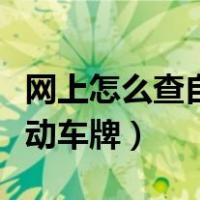 网上怎么查自己的电动车牌（怎么查自己的电动车牌）