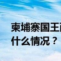 柬埔寨国王西哈莫尼和太后莫尼列来华 这是什么情况？