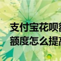 支付宝花呗额度怎么提高到5万（支付宝花呗额度怎么提高）