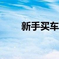 新手买车攻略论坛（新手买车攻略）