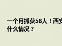 一个月抓获58人！西安警方严厉打击演唱会“黄牛” 这是什么情况？