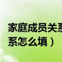 家庭成员关系怎么填写弟弟称谓（家庭成员关系怎么填）