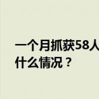 一个月抓获58人！西安警方严厉打击演唱会“黄牛” 这是什么情况？