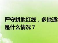 严守耕地红线，多地通报耕地保护领域履职不力典型案例 这是什么情况？