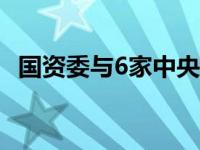 国资委与6家中央企业座谈 这是什么情况？