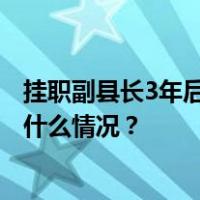 挂职副县长3年后，郑州大学“85后”教授张永胜履新 这是什么情况？