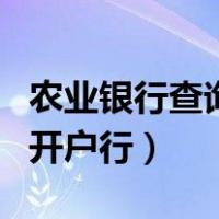 农业银行查询开户行短信查询（农业银行查询开户行）