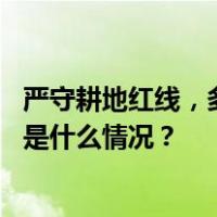 严守耕地红线，多地通报耕地保护领域履职不力典型案例 这是什么情况？