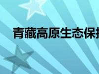 青藏高原生态保护法施行 这是什么情况？