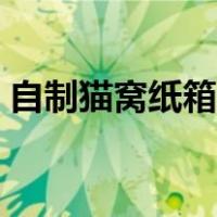 自制猫窝纸箱房子简单（自制猫窝纸箱房子）