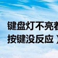 键盘灯不亮着但是所有按键无效（键盘灯不亮按键没反应）