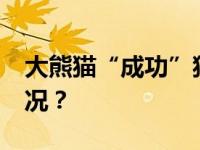 大熊猫“成功”猝死，终年23岁 这是什么情况？