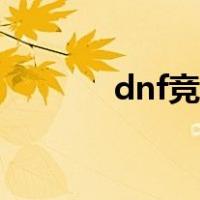 dnf竞技场在哪（dnf竞技场）