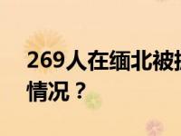 269人在缅北被抓！“金主”落网 这是什么情况？