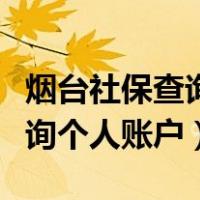 烟台社保查询个人账户官网下载（烟台社保查询个人账户）