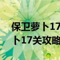 保卫萝卜17关攻略图解法面面面团（保卫萝卜17关攻略）