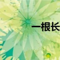 一根长气球编花（长气球编花）